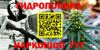 2c-b Кунгур
