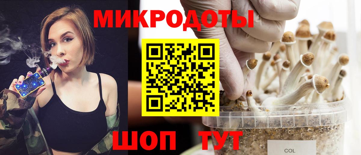 Галлюциногенные грибы Psilocybe  Вход с VPN  Гусиноозёрск 